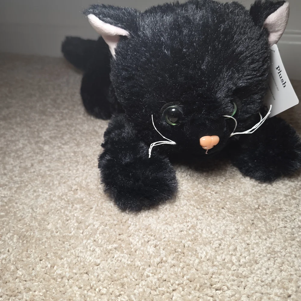 Plush Black Cat Toy